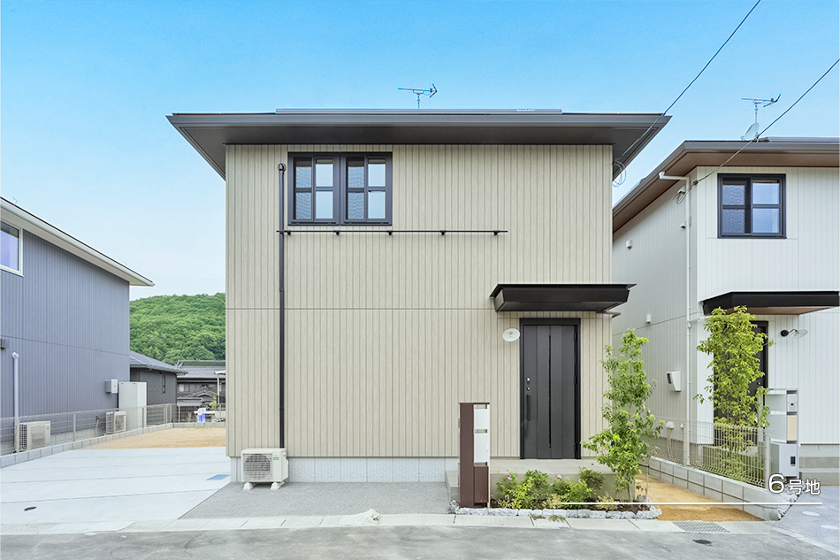 6號地