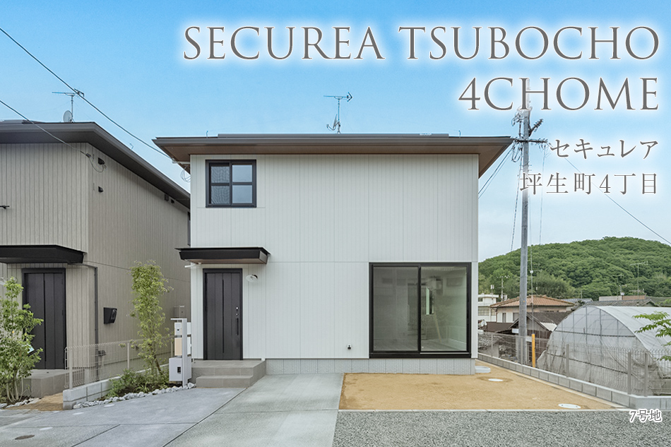 7號地