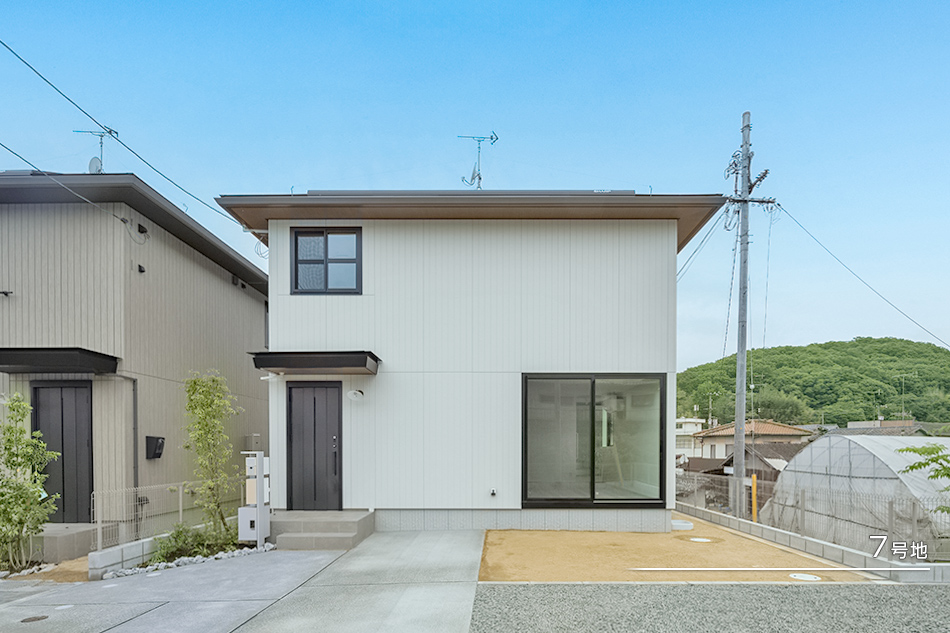 7號地