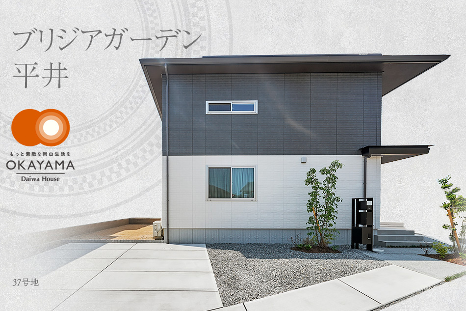 37號地