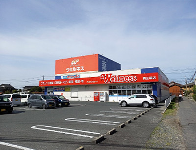 ドラッグストアウェルネス両三柳店