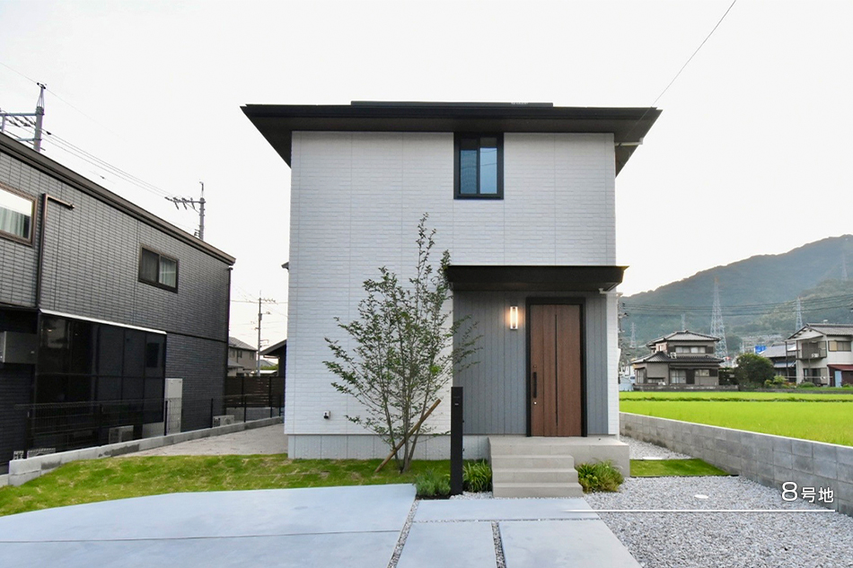 8號地