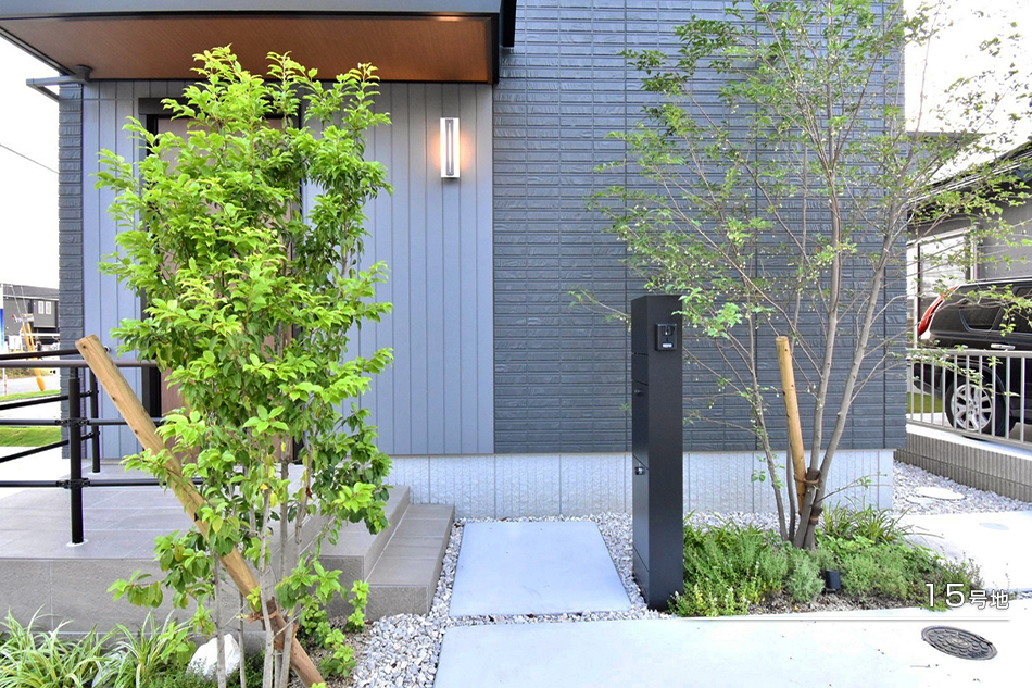 15號地