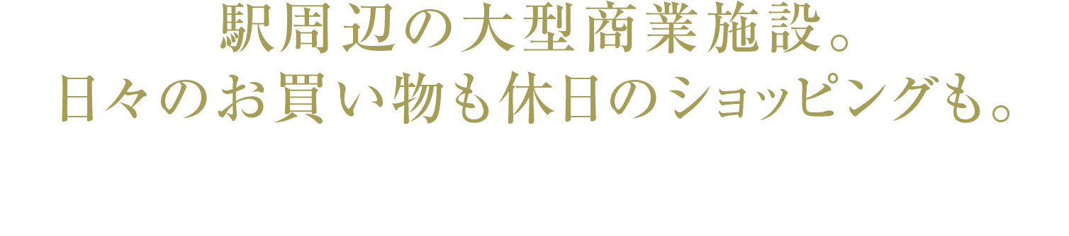 駅周辺の大型商業施設。日々のお買い物も休日のショッピングも。｜牧の原モア?BIG HOPガーデンモール印西?ジョイフル本田