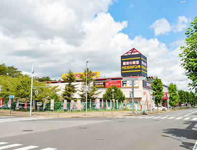 MEGAドン?キホーテ四街道店