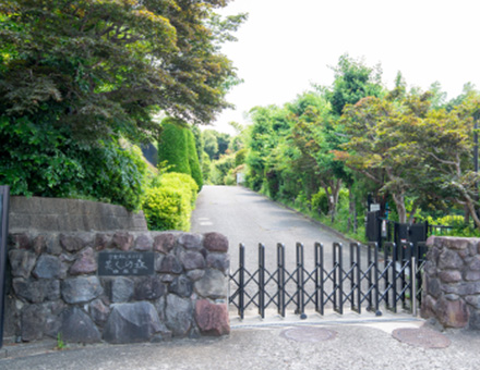 美しの森幼稚園