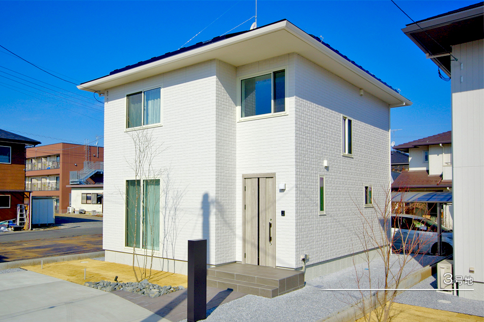 3號地