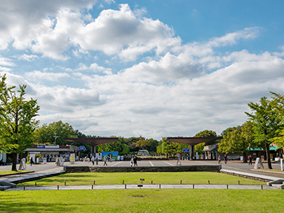 國立昭和記念公園