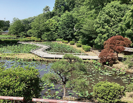 町田薬師池公園