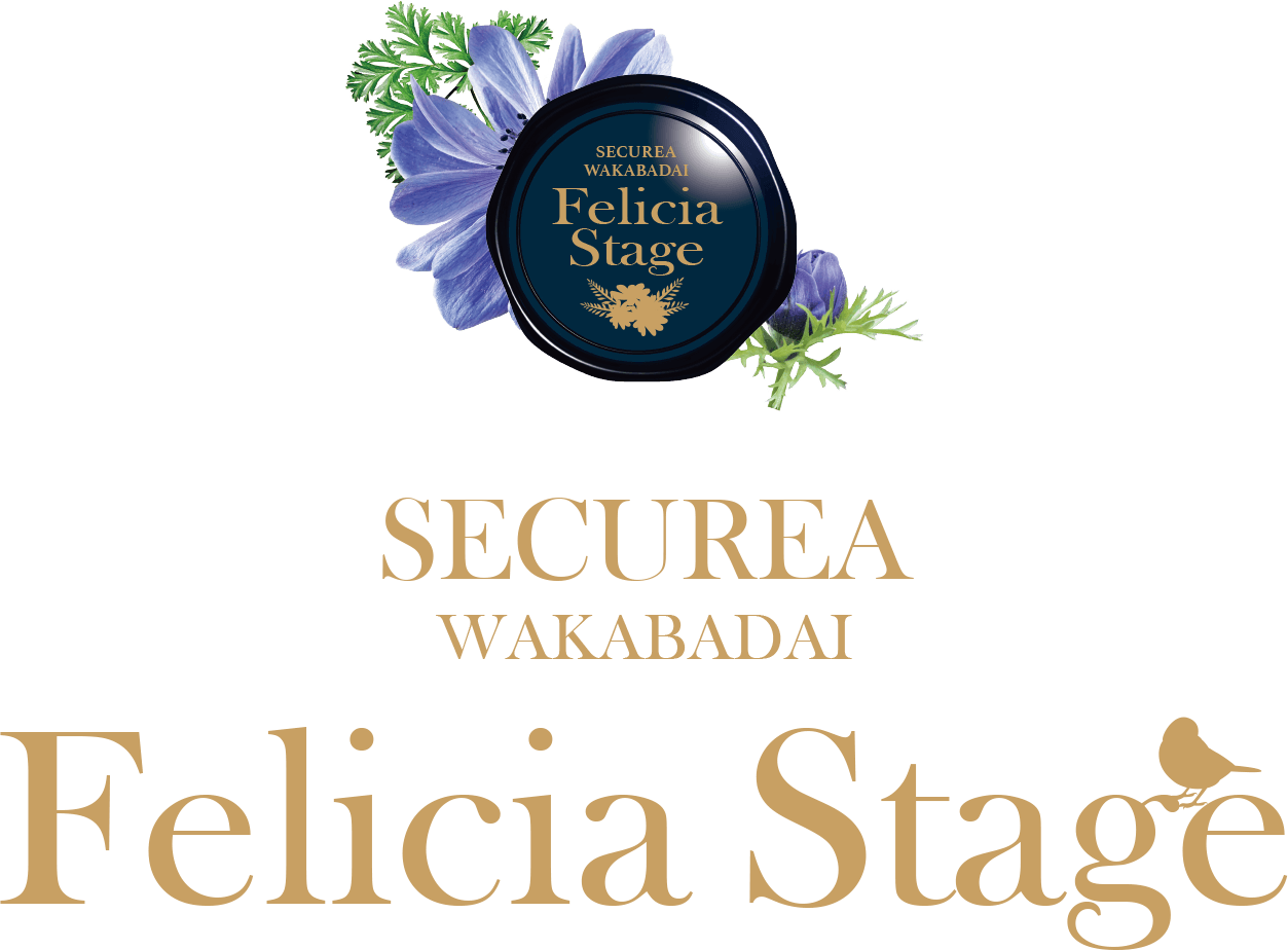 SECUREA WAKABADAI StageFelicia