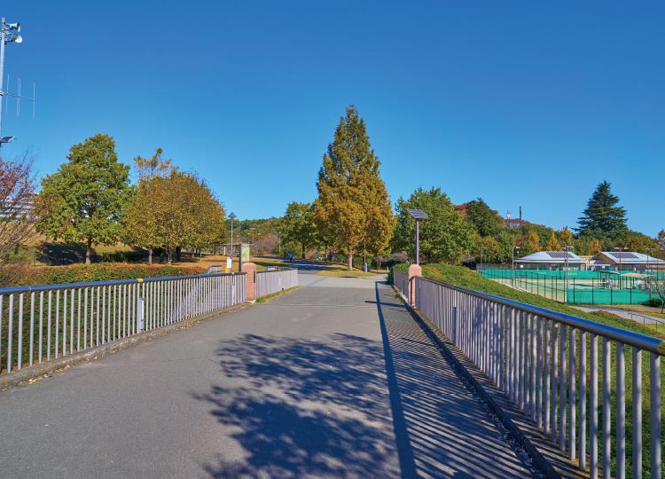 若葉臺中央通り