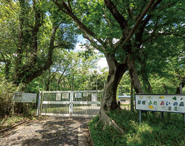 稲城ふれあいの森