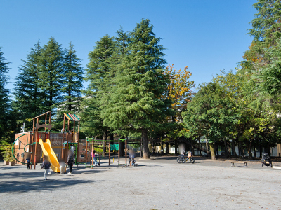 世田谷こどものひろば公園