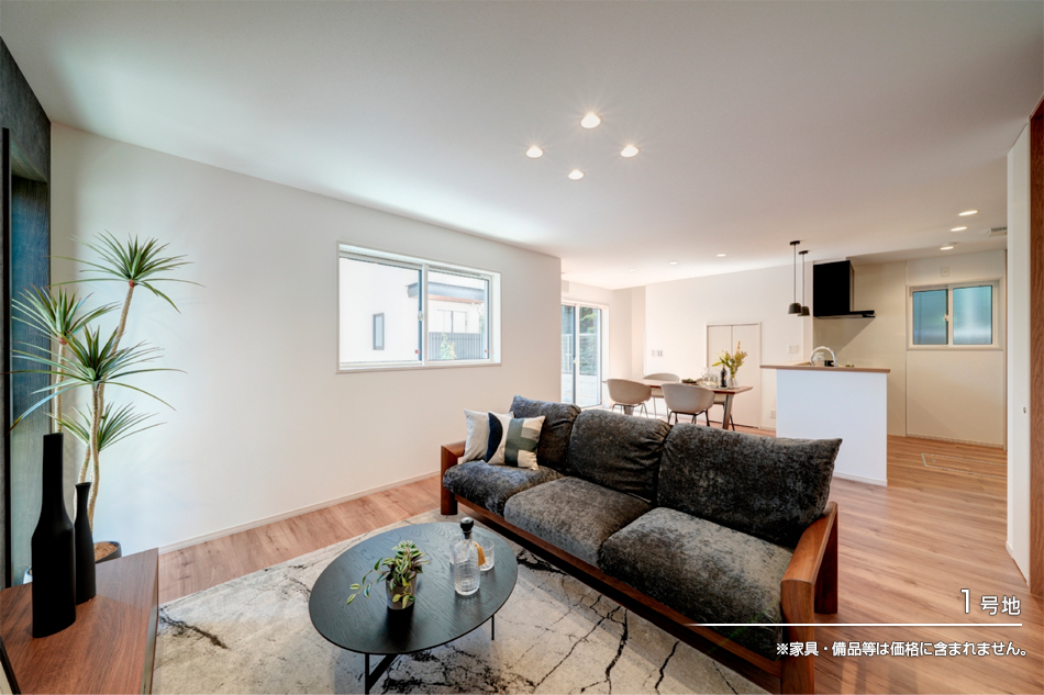 セキュレア光が丘Sta.　(分譲住宅)