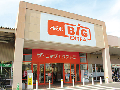 ザ?ビッグエクストラ大安寺店