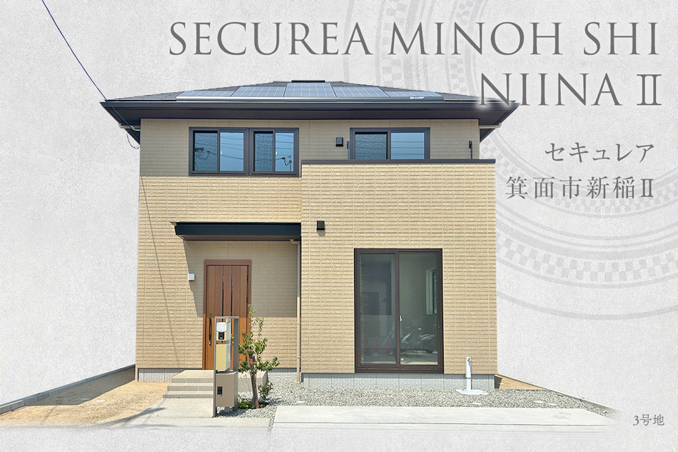3號地