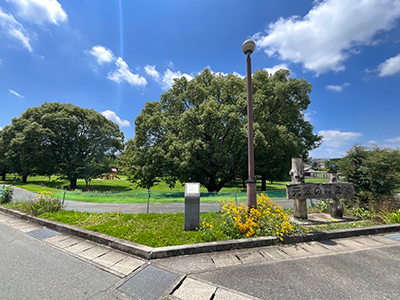 元?dú)荬紊珗@