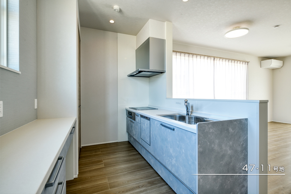 47-11號地