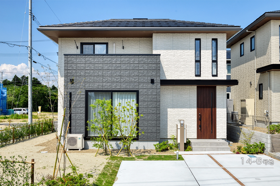 14-6號地