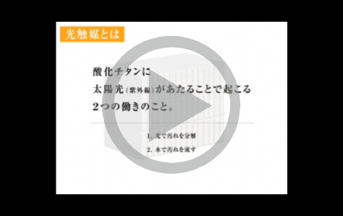 動畫再生