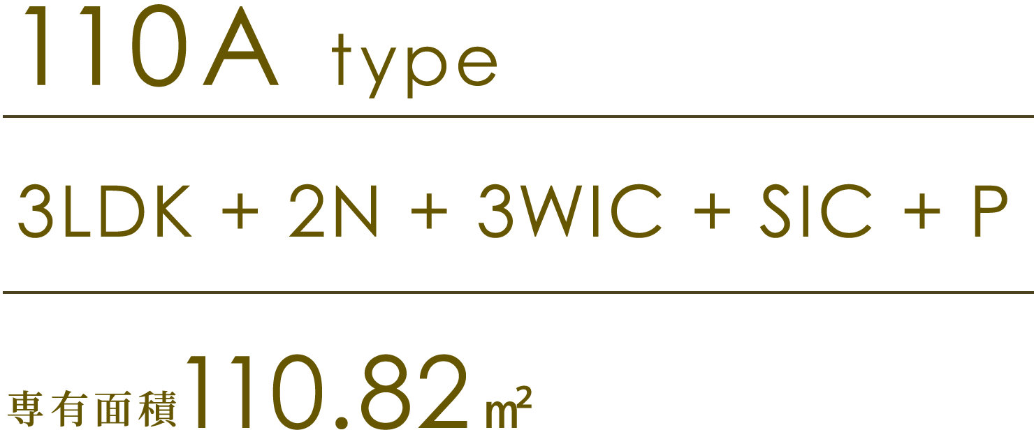 110A type
