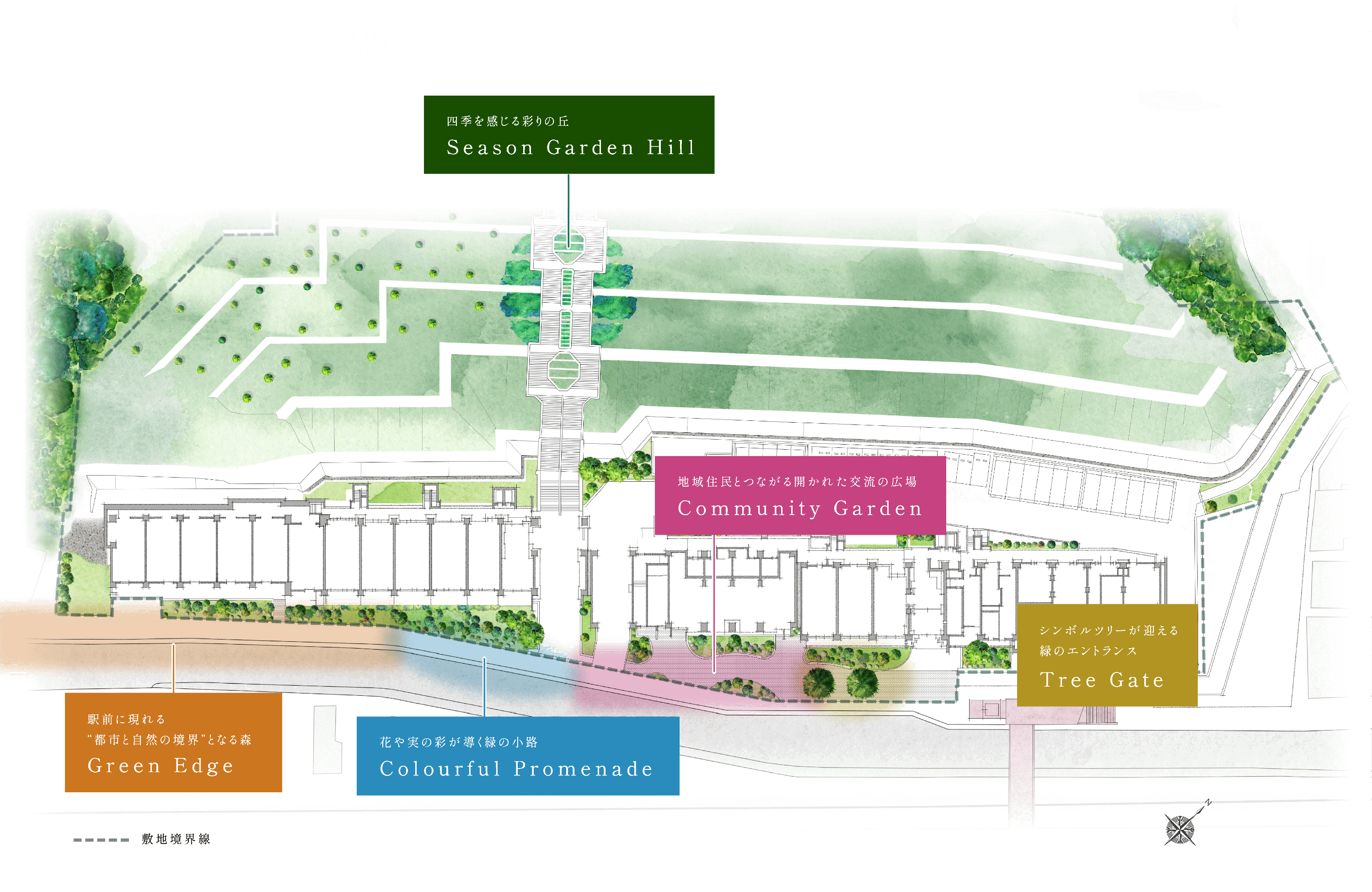 敷地配置イラスト