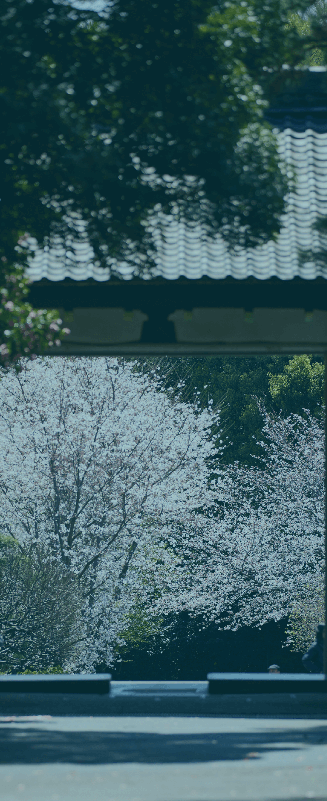 曹洞宗大本山 總持寺 徒歩7分