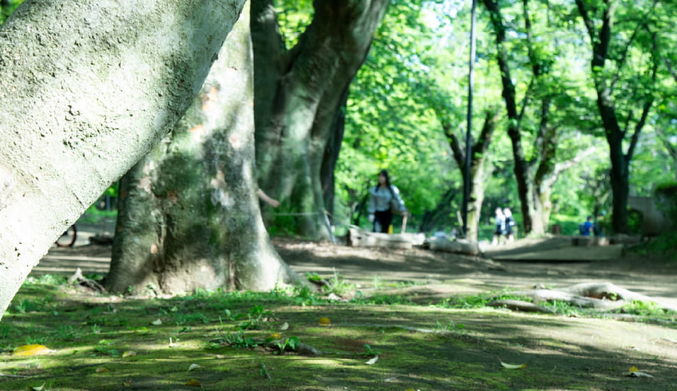駒場公園