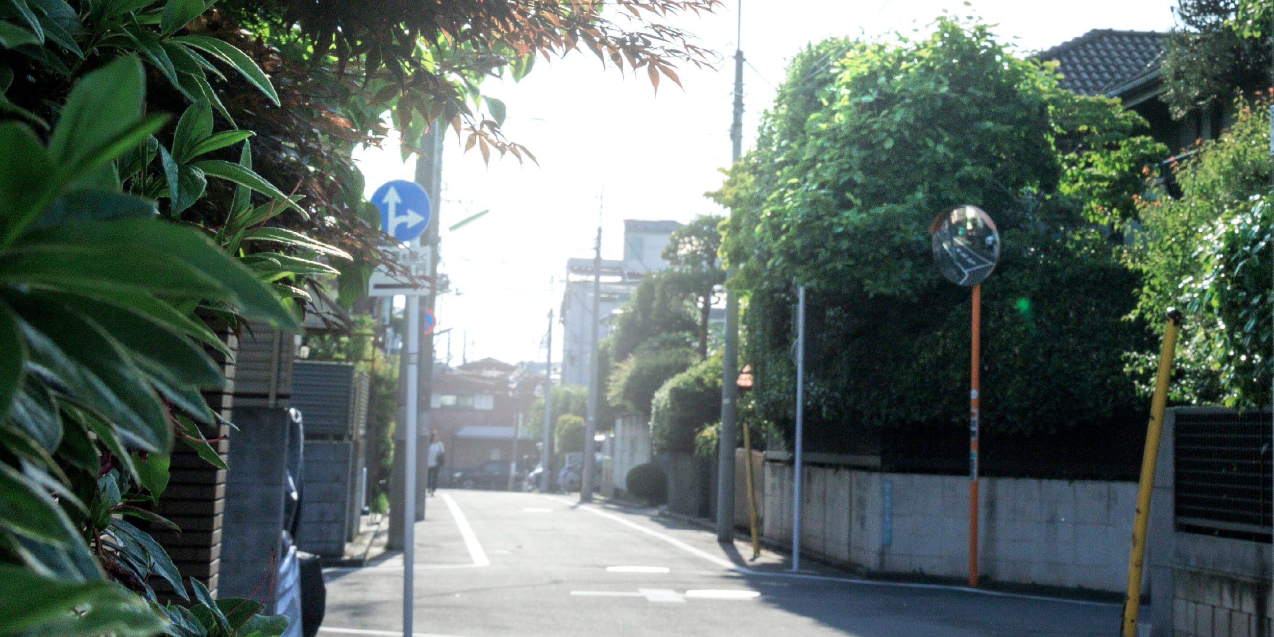 現地周辺の街並み