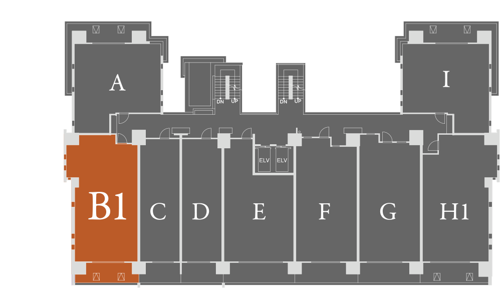 B1 type