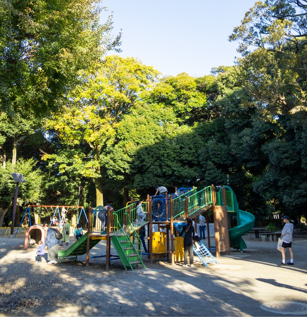 若林公園(約430m/徒歩6分)