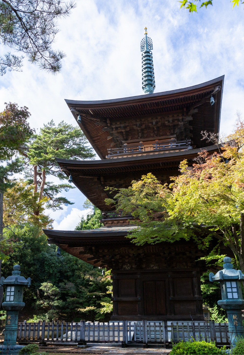 豪徳寺(約1,260m/徒歩16分)