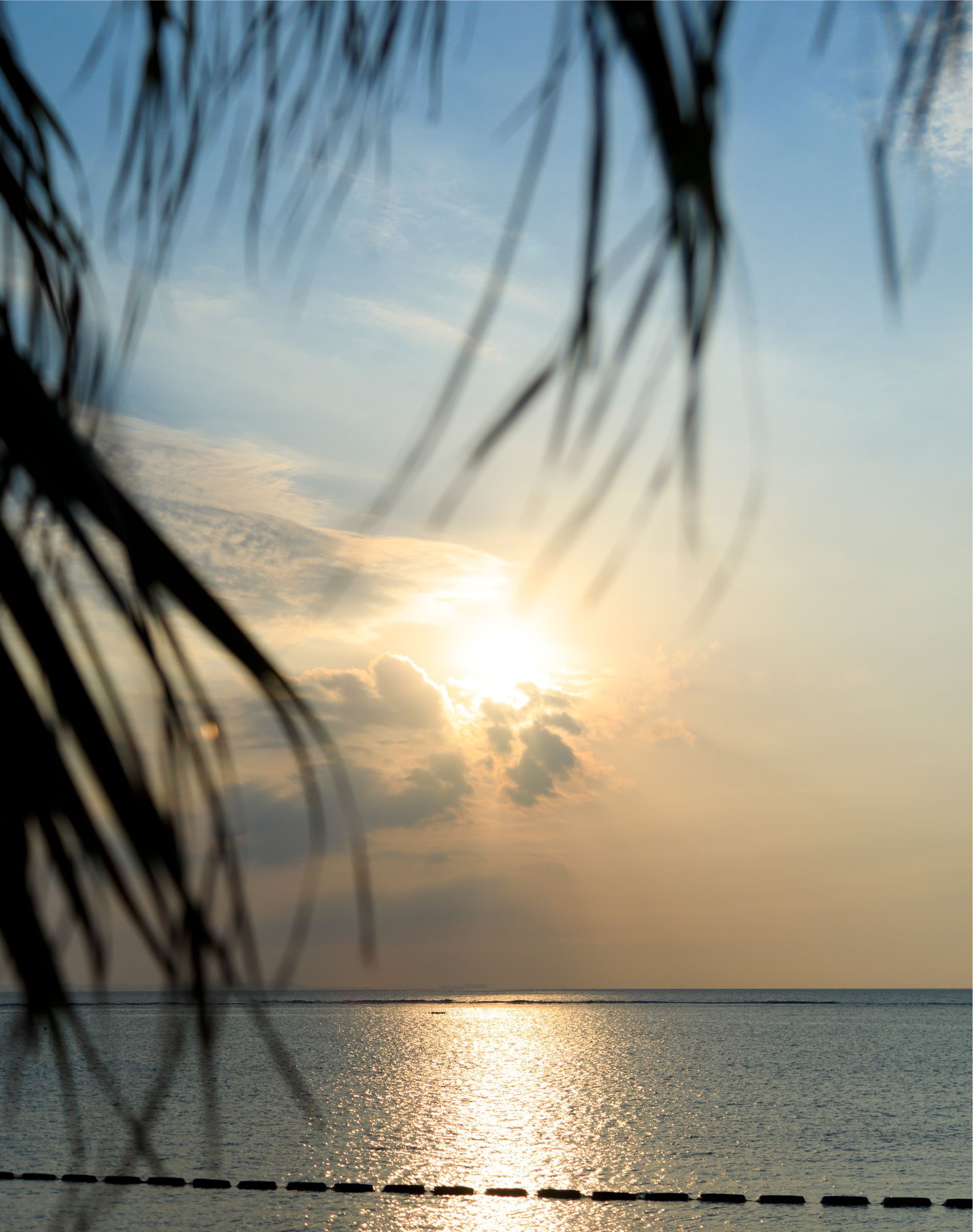 アラハビーチ?安良波公園（徒歩4分）