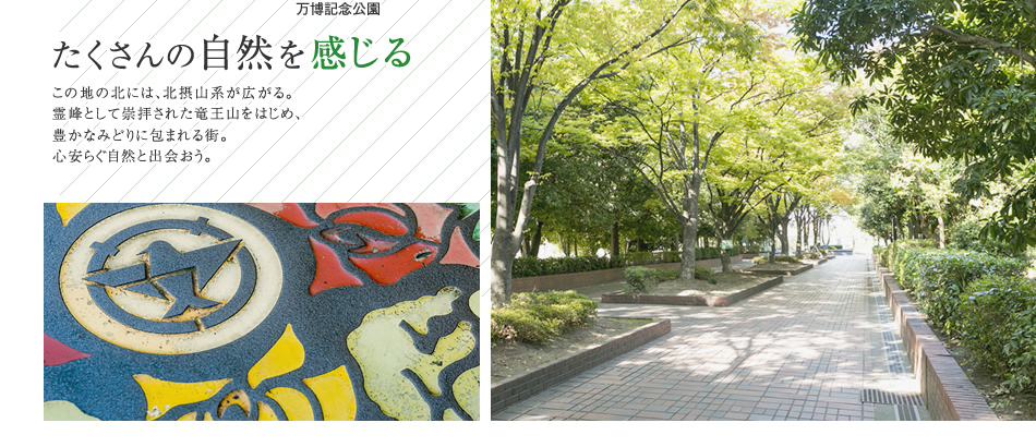 たくさんの自然を感じる