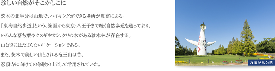 珍しい自然がそこかしこに