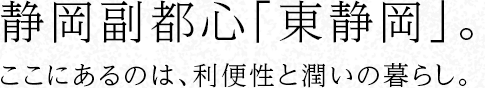 靜岡副都心「東靜岡」。