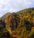 ブログ畫(huà)像