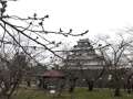 ブログ畫(huà)像