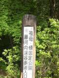 ブログ畫像