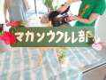 ブログ畫像