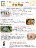 ブログ畫像