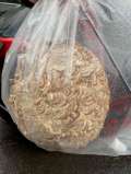 ブログ畫(huà)像
