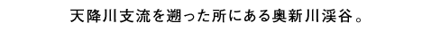天降川支流を遡った所にある奧新川渓谷。