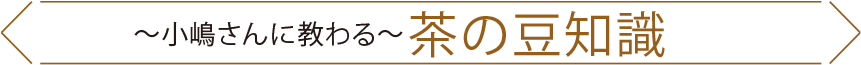 ~小嶋さんに教わる~ 茶の豆知識