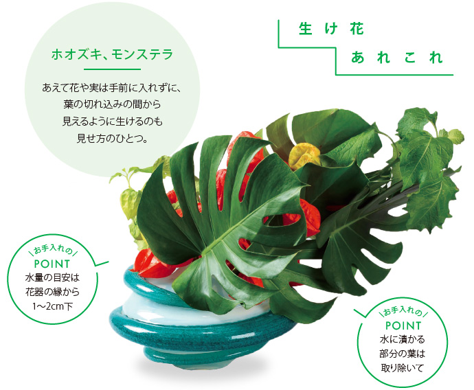 生け花あれこれ[ホオズキ、モンステラ]あえて花や実は手前に入れずに、葉の切れ込みの間から見えるように生けるのも見せ方のひとつ。[お手入れのPOINT]水量の目安は花器の縁から1～2cm下 [お手入れのPOINT]水に漬かる部分の葉は取り除いて