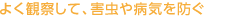 よく観察して、害蟲や病気を防ぐ